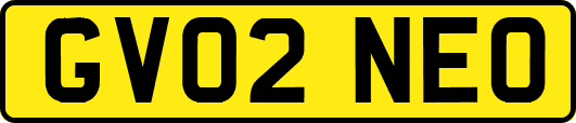 GV02NEO