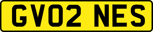 GV02NES