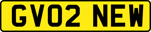 GV02NEW