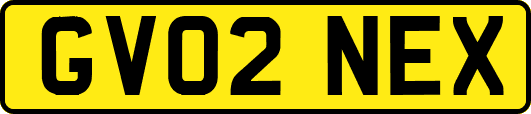 GV02NEX