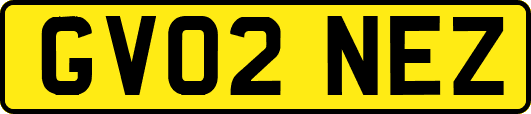 GV02NEZ