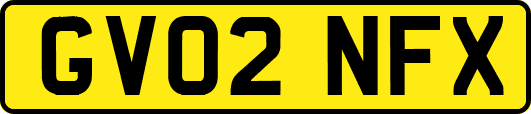 GV02NFX