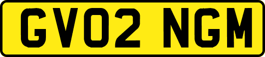 GV02NGM
