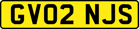 GV02NJS