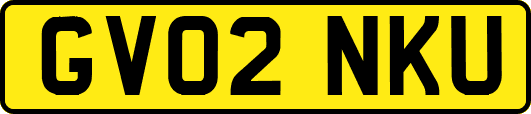 GV02NKU