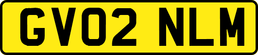 GV02NLM