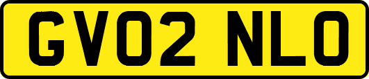GV02NLO