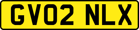 GV02NLX