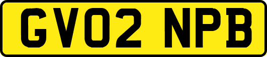 GV02NPB