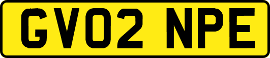 GV02NPE