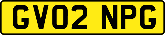 GV02NPG