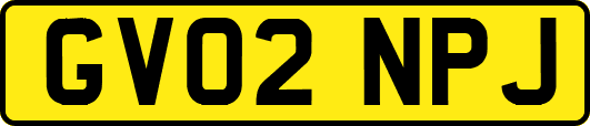 GV02NPJ