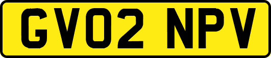 GV02NPV