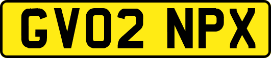 GV02NPX