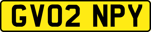 GV02NPY