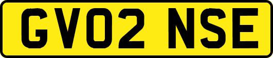 GV02NSE