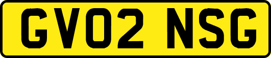 GV02NSG