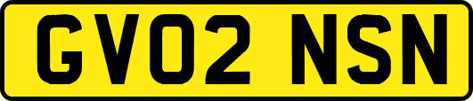 GV02NSN