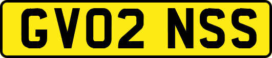 GV02NSS