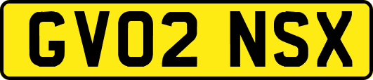 GV02NSX