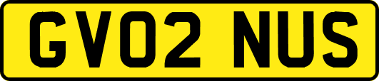 GV02NUS