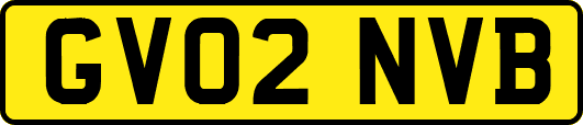 GV02NVB