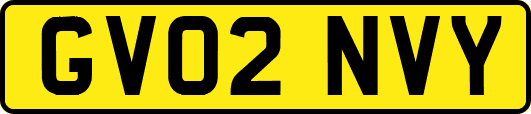 GV02NVY