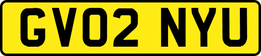 GV02NYU