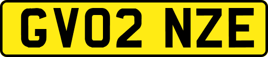 GV02NZE