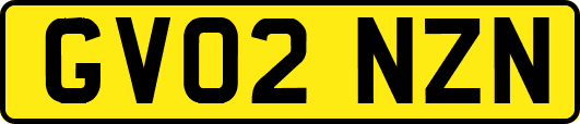 GV02NZN