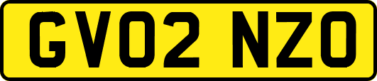GV02NZO