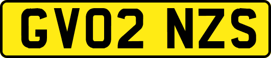 GV02NZS