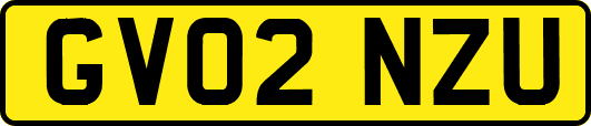 GV02NZU