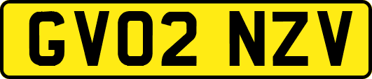 GV02NZV
