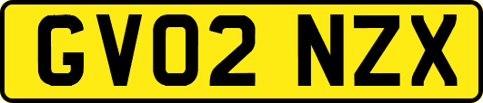 GV02NZX