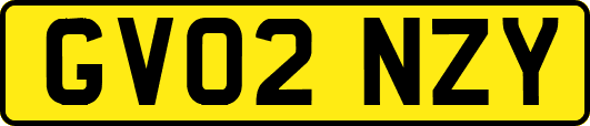 GV02NZY
