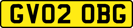 GV02OBG
