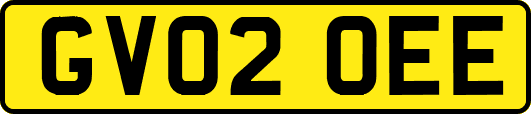 GV02OEE
