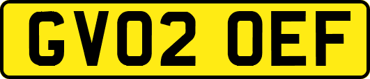 GV02OEF