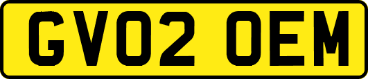 GV02OEM