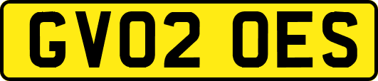 GV02OES