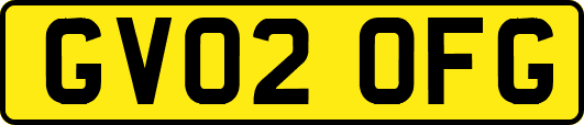 GV02OFG