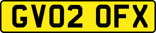GV02OFX