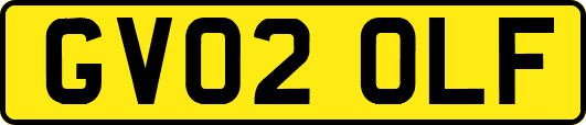 GV02OLF