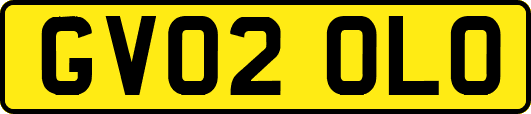 GV02OLO