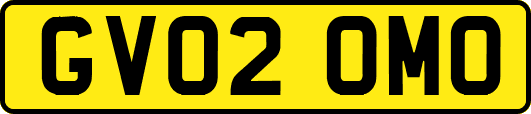 GV02OMO
