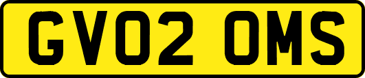 GV02OMS
