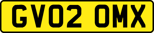 GV02OMX