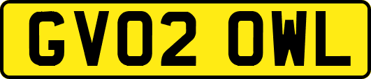 GV02OWL