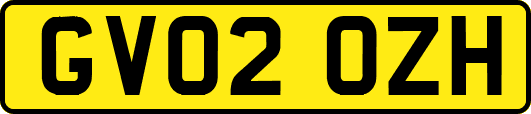 GV02OZH